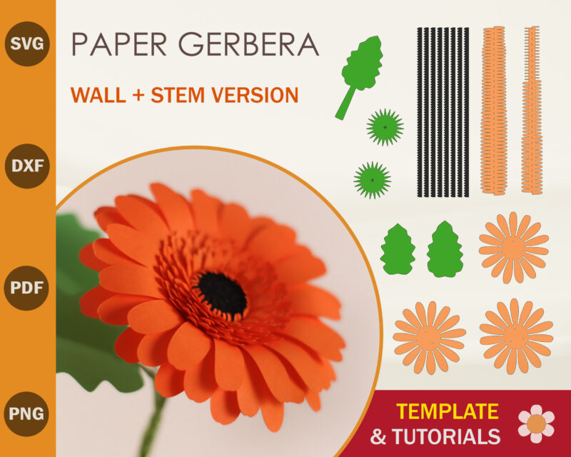 Paper Gerbera SVG Template
