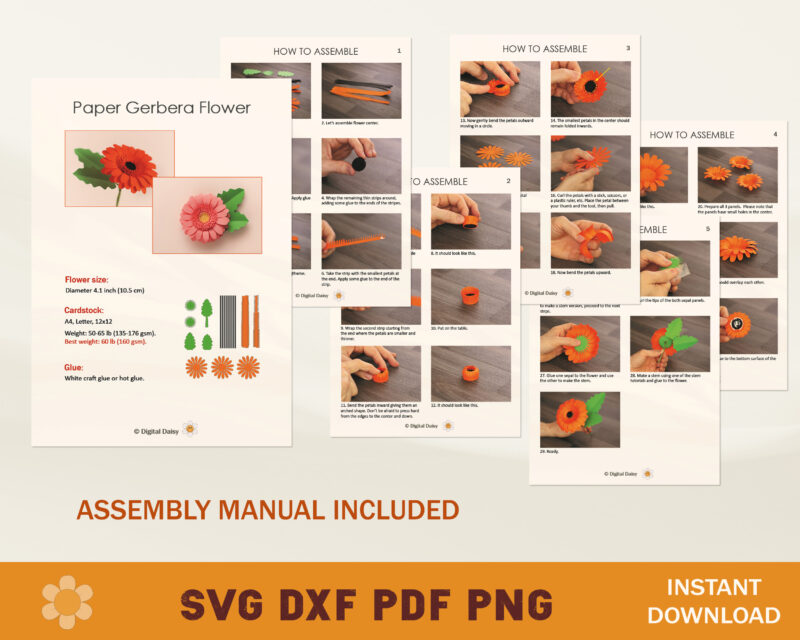 Paper Gerbera SVG Template