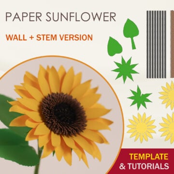 Paper Sunflower Template