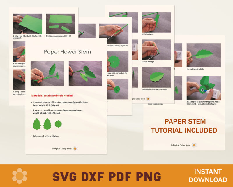 Paper Peony Template